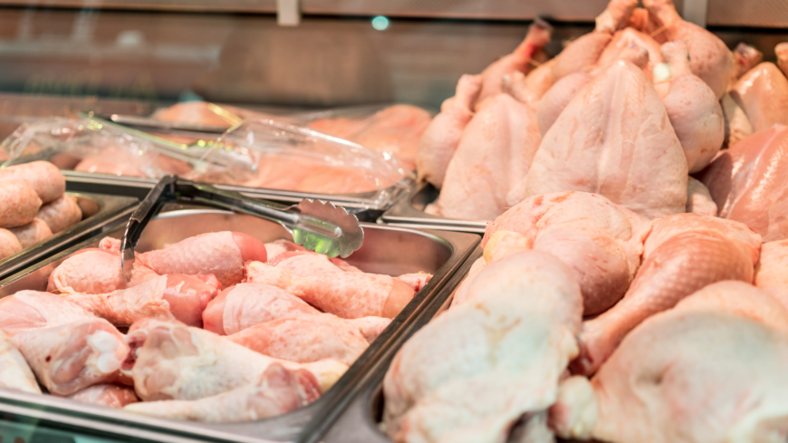 Campylobacter är tarmbakterier som förekommer hos många djur, framför allt fågel.  Foto: Shutterstock